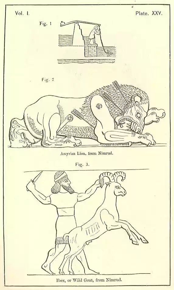 plate025